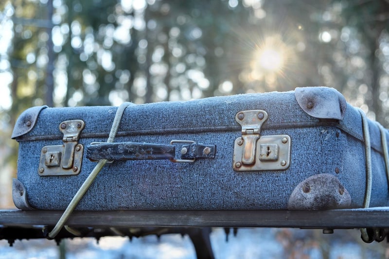 Vintage suitcase shelves